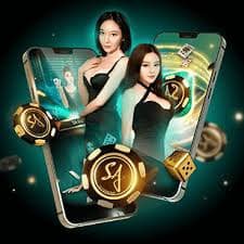8 slot